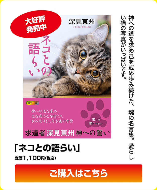 「ネコとの語らい」定価1,100円（税込）